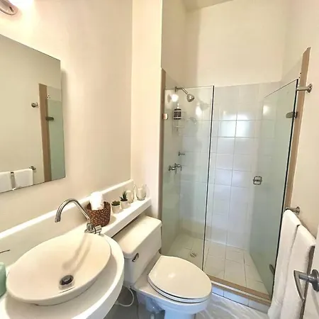 Beautiful Oasis In The Old Town Apartment